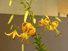 Foto: Dr. Peter Müller